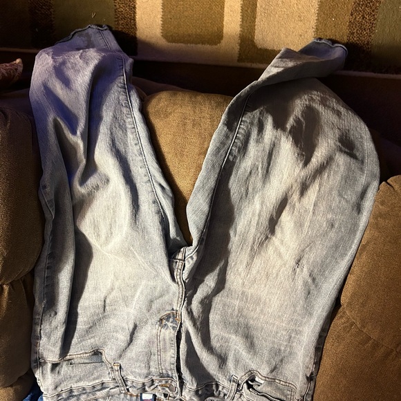 Labera - Picture 5 of 5